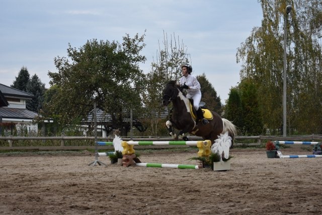 bABIE lATO 2018